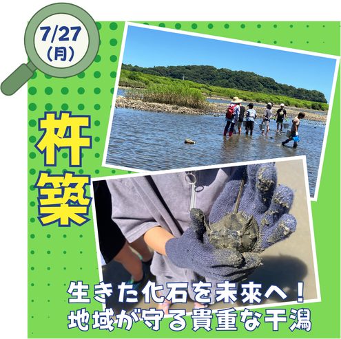 杵築